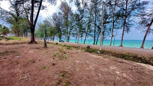 รวมบ้านที่ดินดีงามเพื่อคุณ ที่ติดทะเลฝั่งแดงSeaview สวยมาก รวมบ้านที่ดินดีงามเพื่อคุณ ที่ติดทะเลฝั่งแดงSeaview สวยมาก