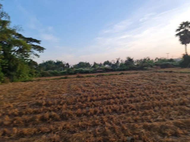 รวมบ้านที่ดินดีงามเพื่อคุณ ขายที่ติดน้ำโขง ต.กุดบง โพนพิสัย หนอง รวมบ้านที่ดินดีงามเพื่อคุณ ขายที่ติดน้ำโขง ต.กุดบง โพนพิสัย หนอง