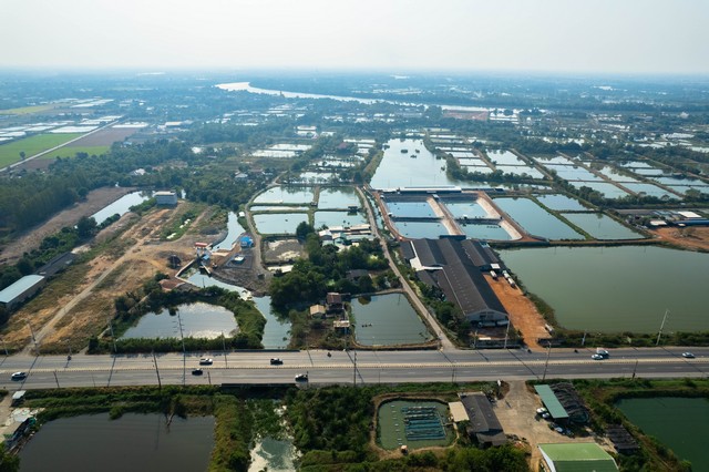 ขายที่ดินติดคลอง ถมแล้ว 117 ตรว. ต.คลองนา อ.เมือง จ.ฉะเชิงเทรา ขายที่ดินติดคลอง ถมแล้ว 117 ตรว. ต.คลองนา อ.เมือง จ.ฉะเชิงเทรา