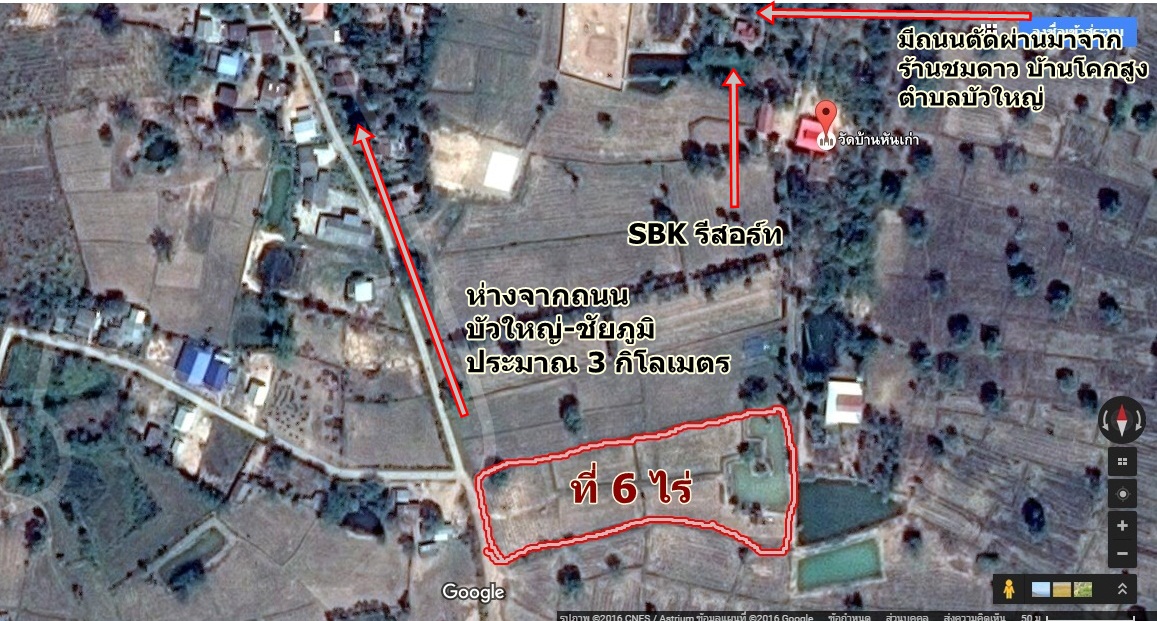 �����ͧ��ὴ���ŷͧ 50 ���. 㨡�ҧ����ͺ���˭� 