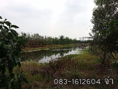 ���Թ��ͧ��� 6 ��� �١�ҡ ������ ��͹�֧��¤�ͧ5�.�͡1 ��鶹���� ��ظ��-����(�ҧ�ѧ����)