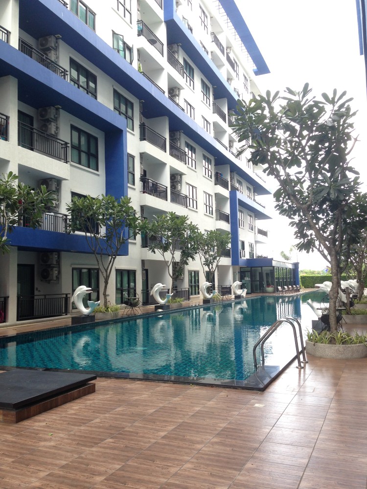 ��¤͹� ��� ��� ��ʫ��鹷�  �Ҥ� 1.5 ��ҹ ����آ���Է-�ѷ�� 87 