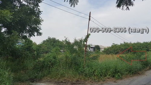 ขายที่ดิน 50 ตารางวา ซอย สายไหม 70 แปลงหัวมุม 090-909-8306 เชษฐา ขายที่ดิน 50 ตารางวา ซอย สายไหม 70 แปลงหัวมุม 090-909-8306 เชษฐา