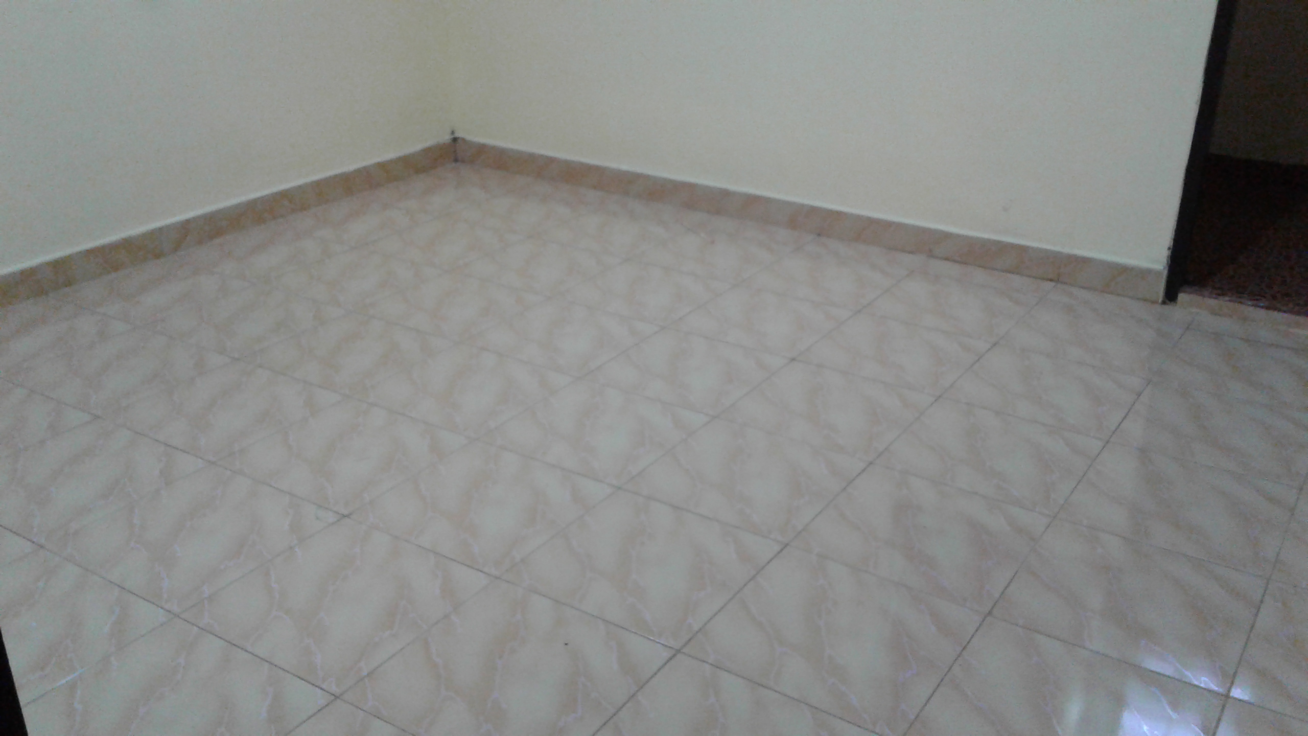 �;ѡ ;�������� �����Ҿ�������� ��ѧ ��ꡪ� ྪ���� 