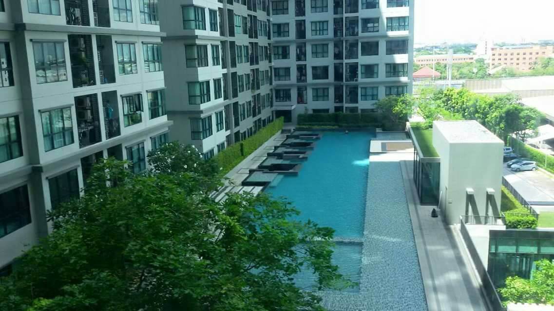 �͹��ҤҶ١ ��������� ���������