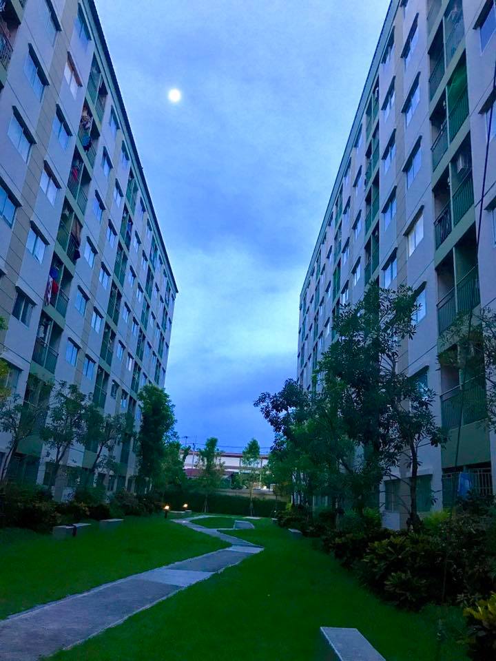 �����Ҥ͹�����㨡�ҧ���ͧ�ź���