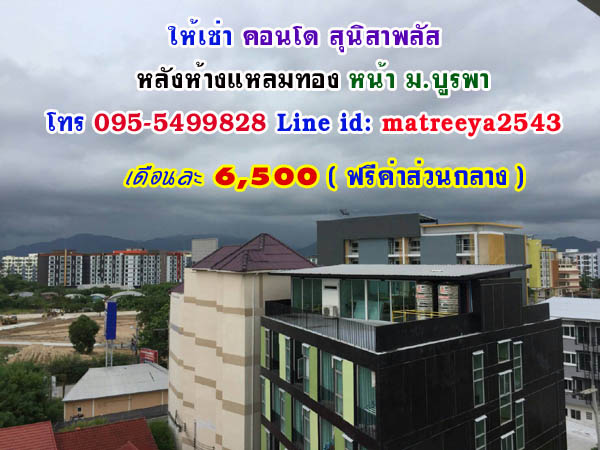 ��С�������� �͹��ع��Ҿ��� ��ѧ��ҧ�����ͧ ˹�� �.��þ� 6500 �����ǹ��ҧ