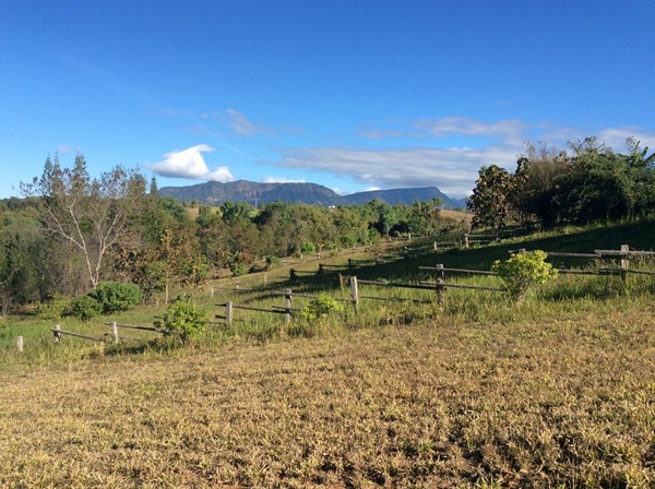 ���Թ�Ҥ�� ���Թ����ҡ ��ç��ÿ���ʷ������ 2 ��Ҵ 399.1 ���.