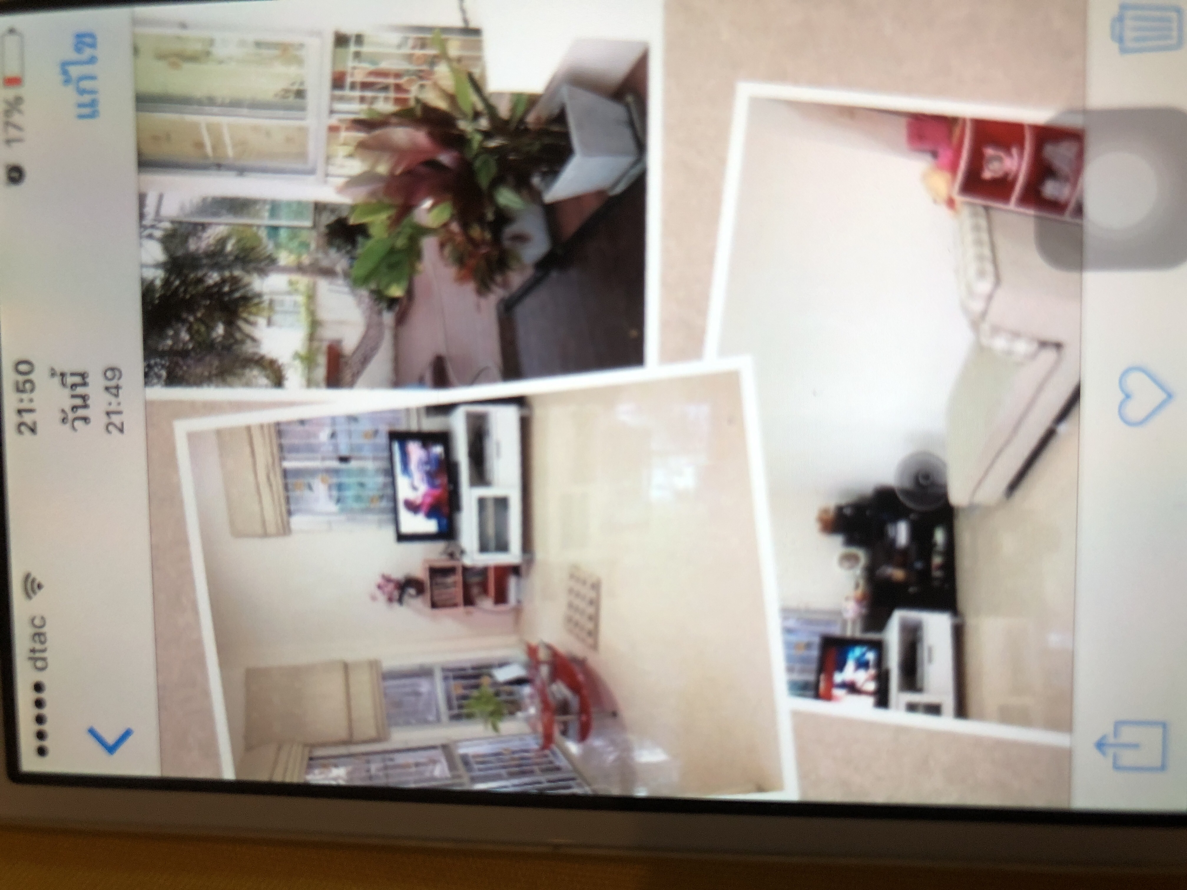 �����Һ�ҹ