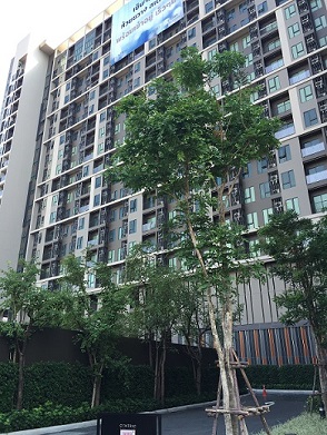 ��´�ǹ!!! ��´�ǹ����������� �͹� �鹷�Ԥ ���¢�ҧ �ԴMRT ���¢�ҧ