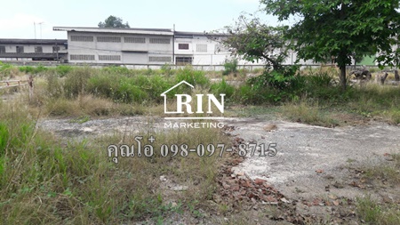 ขายที่ดินติดถนนปากช่อง 13-1-54 ไร่ ใกล้ที่ว่าการอำเภอปากช่อง คุณโอ๋ 098-097- 8715 ขายที่ดินติดถนนปากช่อง 13-1-54 ไร่ ใกล้ที่ว่าการอำเภอปากช่อง คุณโอ๋ 098-097- 8715