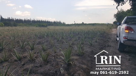 ��·��Թ�����ŧ����ǹ�ҹ 29-0-54��� �¡�������� �Ѻ�� ����Թ  �س���� 061-619-2592