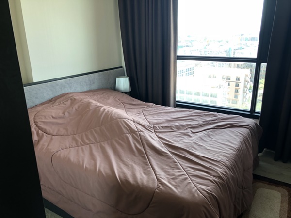 ��� The Base Central Pattaya �ѷ�ҡ�ҧ ��� 14 �֡ B (��Ƿ���) 29.77 ���ҧ����