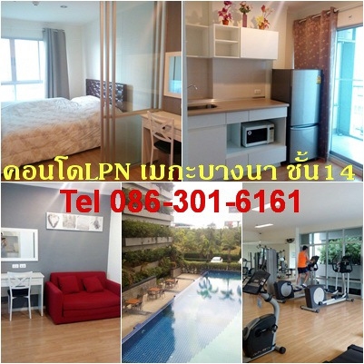 ��¤͹� LPN ���ЫԵ�� �ҧ�� ��� ����Ϥú 26 ���.  1 �͹ 1 ��� ��� 14 