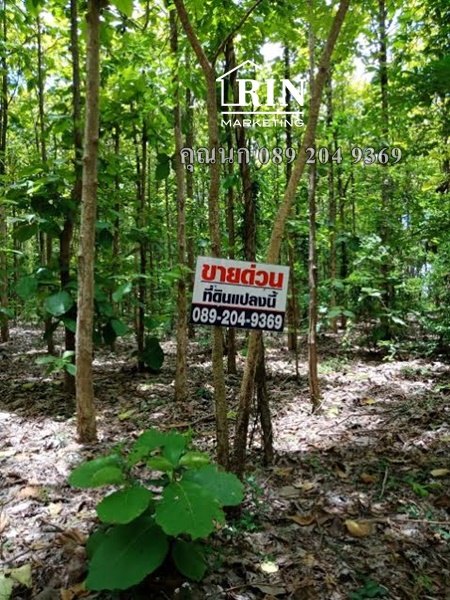 ��·��Թ �ç����ǹ�ɵ� ��觴Թ�������� �.���ͧ �.�ؾ�ó���� 319 ��� �س�� 089 204 9369