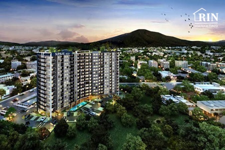 Urgent Sale!!! ��´�ǹ! �͹� ������� ��ʵ�� 