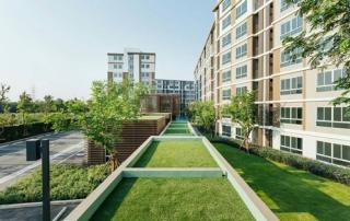 ��´դ͹� ������ �.��ا෾ �.������ʵ�� �ѧ�Ե ��§�ҡ 1.99 ��ҹ 0995388171