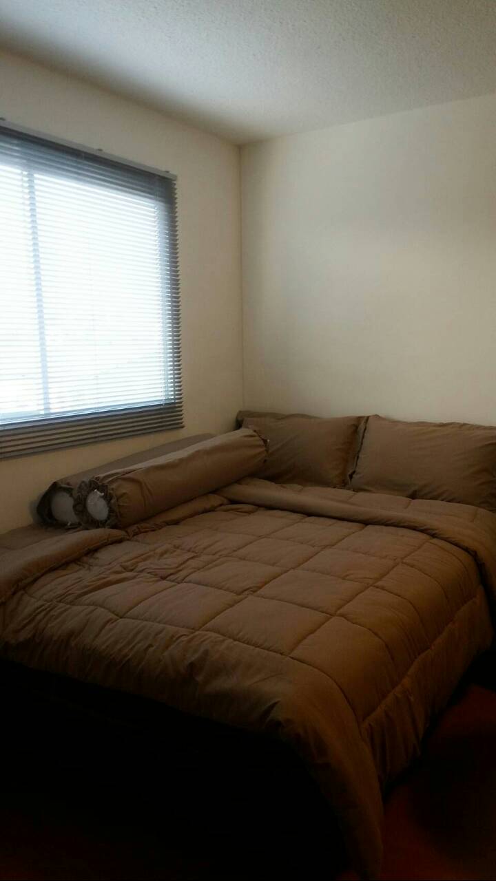 �����Ҥ͹�����Թ�������� ����ó���� ����ú (�֡A1)