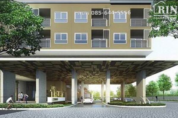 ��¤͹� ��з��ʵ� @�շ���� �����ѳ  ��鹷������� 28.5 ��.�. 1 ��ͧ�͹ 1 ��ͧ��� ��� 11