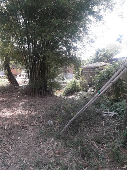 ���Թ����ӵ�  ��ҹ��� ��§��¢�¶١