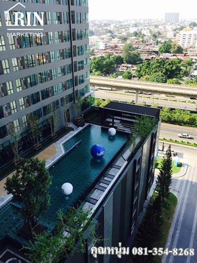 ***��¶١ �͹� �ʹ��� �ҷ�-��Ҿ�� ��� 12A ˹��� 081-354-8268 