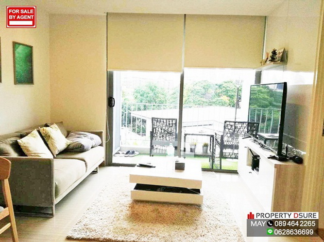 #��¾���������� �͹� Downtown 49 ��ͧ���