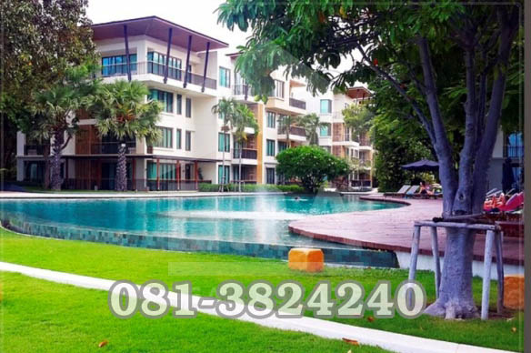 ������������ �͹� ��ҹ�ʹ�آ ���ͷ�� 74.23 ��.�.  �.����Թ �.��ШǺ���բѹ�� �Դ���� 