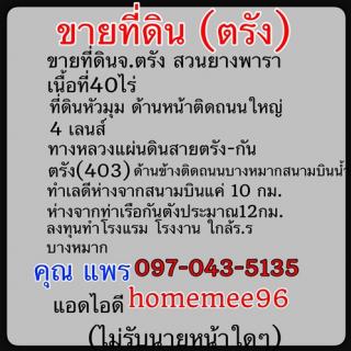 ��·��Թ �.��ѧ �ǹ�ҧ���� 40 ��� ���Թ������ ��ҹ˹�ҵԴ����˭� 4 �Ź��