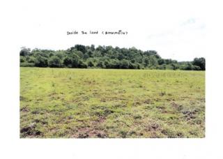 ���Թ�Դ�ҧ��ǧ�ѧ��Ѵ ⪤��� �ú��� 4 ��ͧ�ҧ��� ��ҹ˹�ҵԴ��� 400 ���� ��ҹ˹�� 100 ��� ��ҹ��ѧ 67 ���