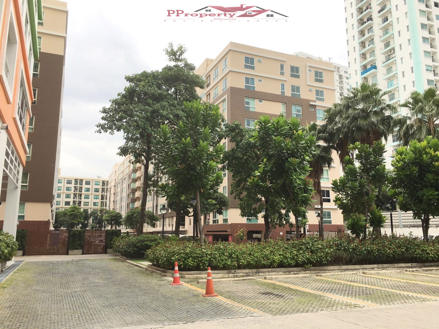 ��¤͹� ������� �ٷԤ���� ��¾�������� ���Ŵ� �Թ�ҧ�дǡ