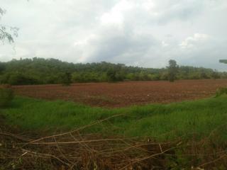 ��·��Թ �Ӻ� �þ���� ����ͤú��� 167 ��� ���� �Դ�ҧ��ǧ 4 ��ͧ�ҧ��� ⪤��� �ú���