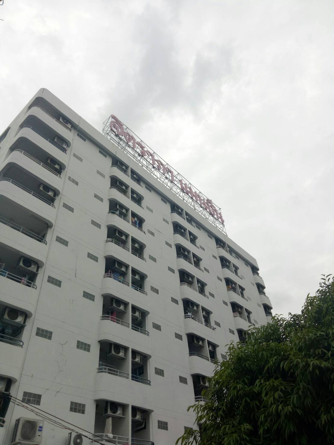 �Ե���������� �ͧ����25