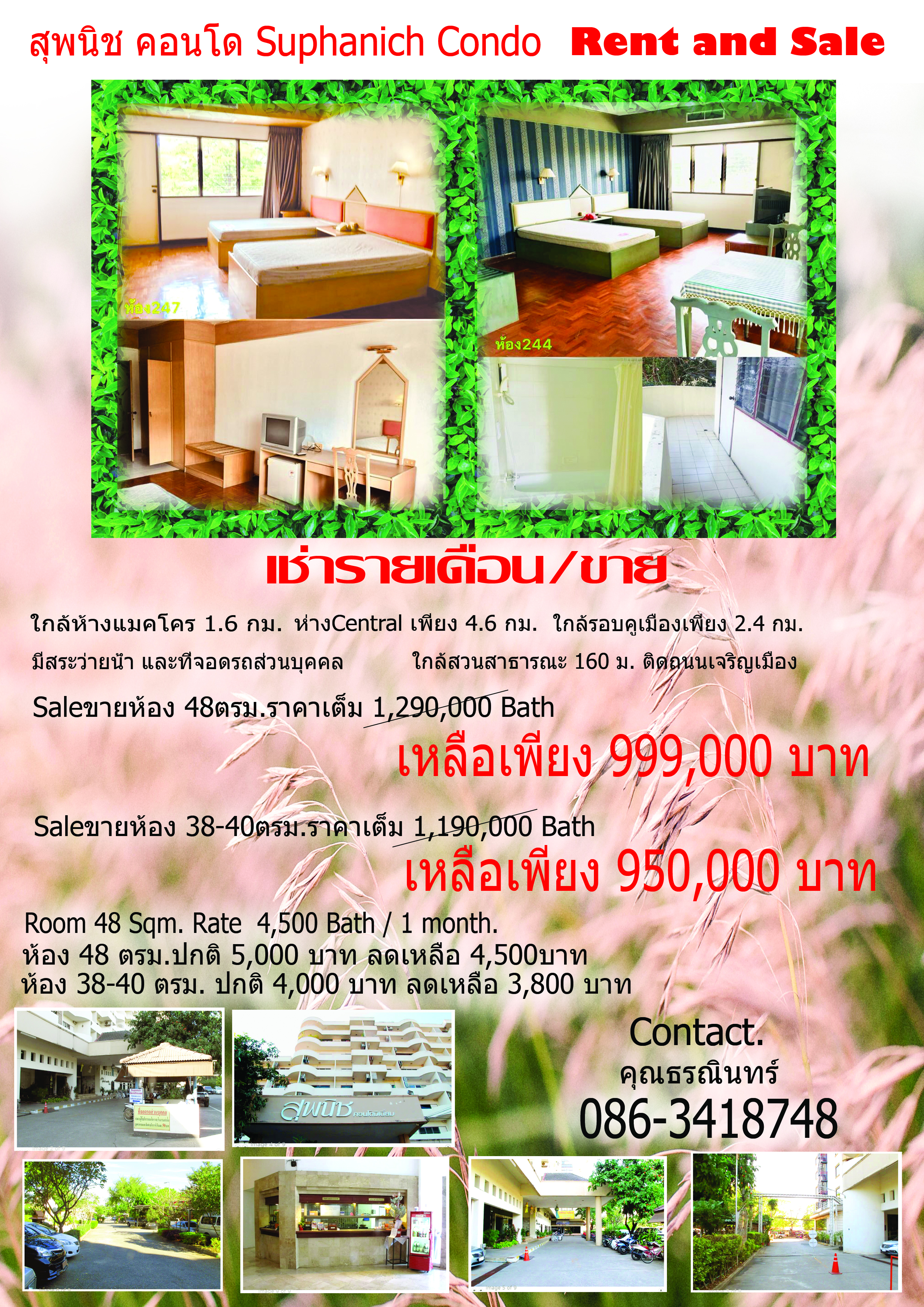 ขาย/เช่า คอนโดที่เชียงใหม่ ติดสวนสาธารณะ ขาย/เช่า คอนโดที่เชียงใหม่ ติดสวนสาธารณะ