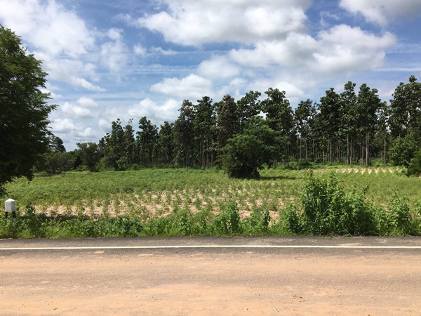 ��·��Թ�������ͷ�� 4 ��� 1 �ҹ 94 ���ҧ�� �Դ����ͺ���ͧ ����͵�С�þת��