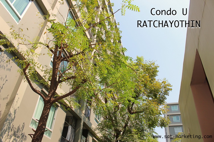 Sell U Ratchayothin Condominium, near Major Ratchayothin 