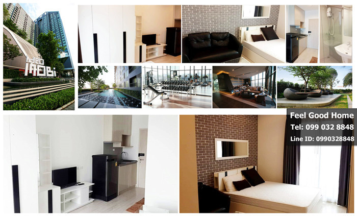 �͹������� Ideo Mobi Sukhumvit Eastgate (��� BTS�ҧ�� ��§ 150 �.) ��ͧ������� ���������!!!!