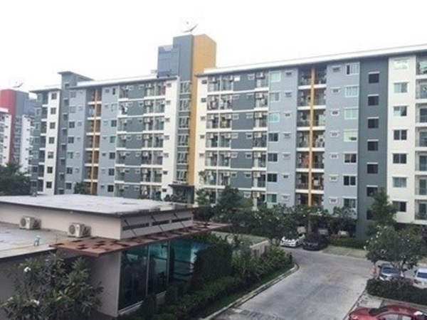 ��¤͹�������� �Ե�� ������ �Ѫ��-���¢�ҧ ��ͧʵٴ��� 31 ���ҧ���� ��� 4 �֡ 5