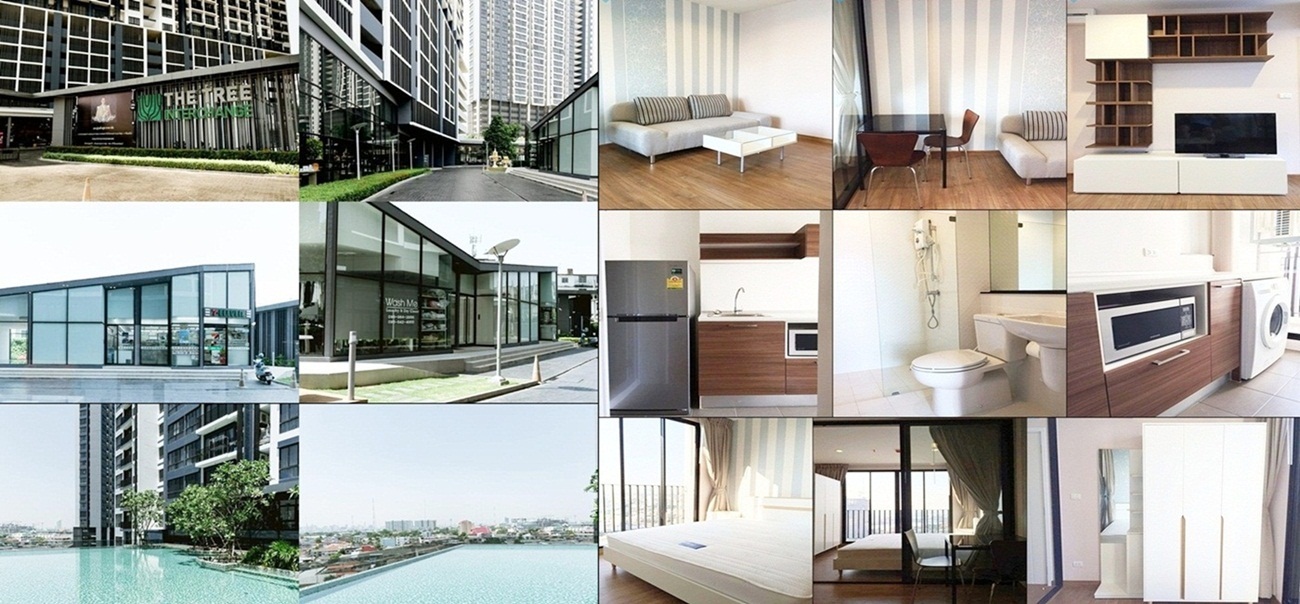 ���/�����Ҥ͹�The Tree Interchange ������ �Դö俿��ʶҹ��һٹ