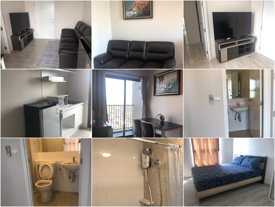 �����Ҿ����͹� �繷��� �൪�� �� 1 �������������� ����ͧ��Ѻ�ҡ�� 2 ��� ��������� �ҧ�˭� �������