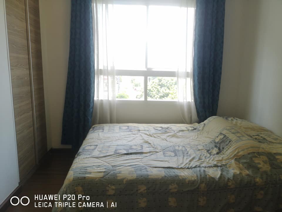 ������ ��з��ʵ� �͹� ���� �ź���