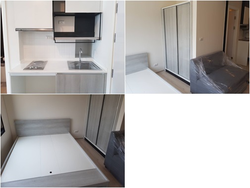 ��´�ǹ� �͹� ESCENT ��繷����ʵ���� ��§���� ���ҧ���稾�����͹  ��´�ǹ� �͹� ESCENT 