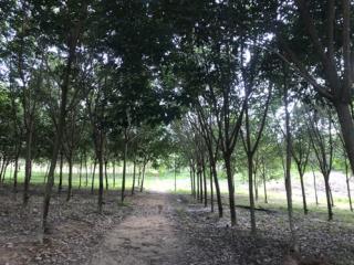 ��·��Թ�ǹ�ҧ �Ԥ����ҧ���ͧ��ШǺ� �.���ͧ��ШǺ� ���ͷ�� 14 ������