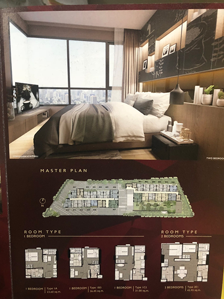 ��´�ǹ�͹� The tree ��ѭ 30 