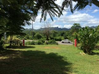 ��´�ǹ ���Թ�Դ����˭� �ҭ������ 13��� 6.9 ��ҹ 0962675028 ..