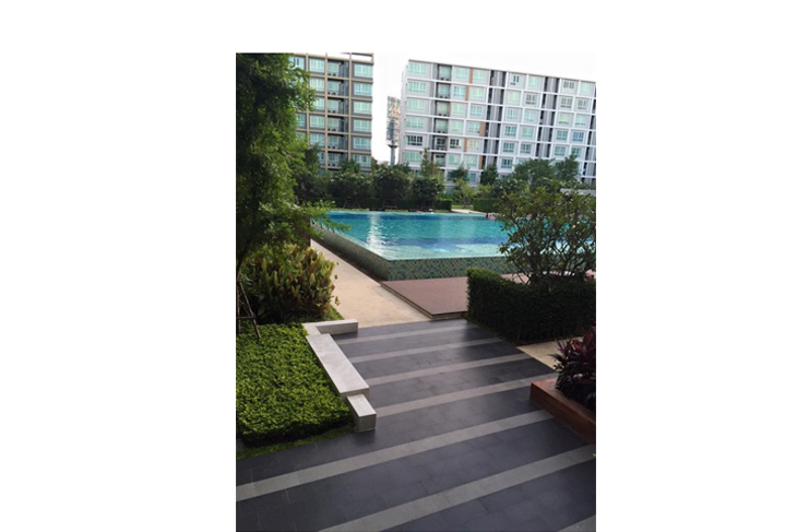 ��´�ǹ �͹�������㨡�ҧ���ͧ��§����