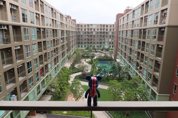 �����Ҥ͹� ����Թ� �ҧ�� ��.3 ��ͧ��� �觤ú �Դ�繷��źҧ�� 26 ��.�. ��� 6 ������ ᴴ�����ͧ