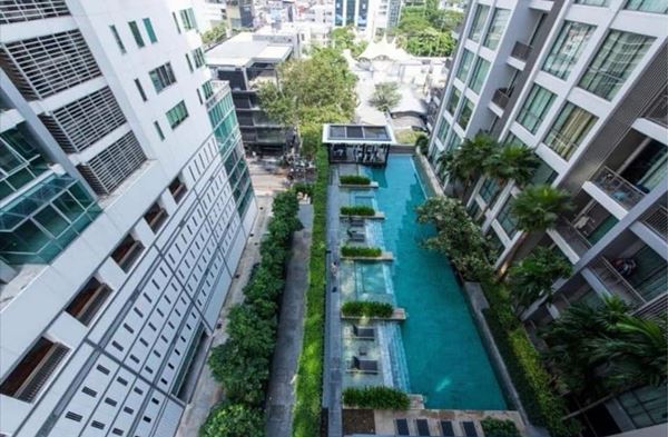 ให้เช่าคอนโด Quattro Thonglor 4 ซอยทองหล่อ 4 ตึกB 2ห้องนอน 2ห้องน้ำ 85.2 ตร.ม. ห้องหัวมุม วิวปลอดโปร่ง ให้เช่าคอนโด Quattro Thonglor 4 ซอยทองหล่อ 4 ตึกB 2ห้องนอน 2ห้องน้ำ 85.2 ตร.ม. ห้องหัวมุม วิวปลอดโปร่ง