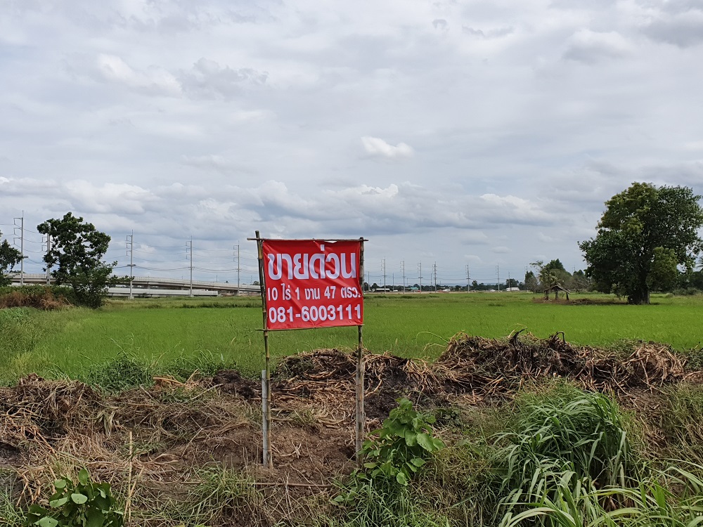 ขายด่วน ที่อ.นากลาง จ.นครราชสีมา ขายด่วน ที่อ.นากลาง จ.นครราชสีมา