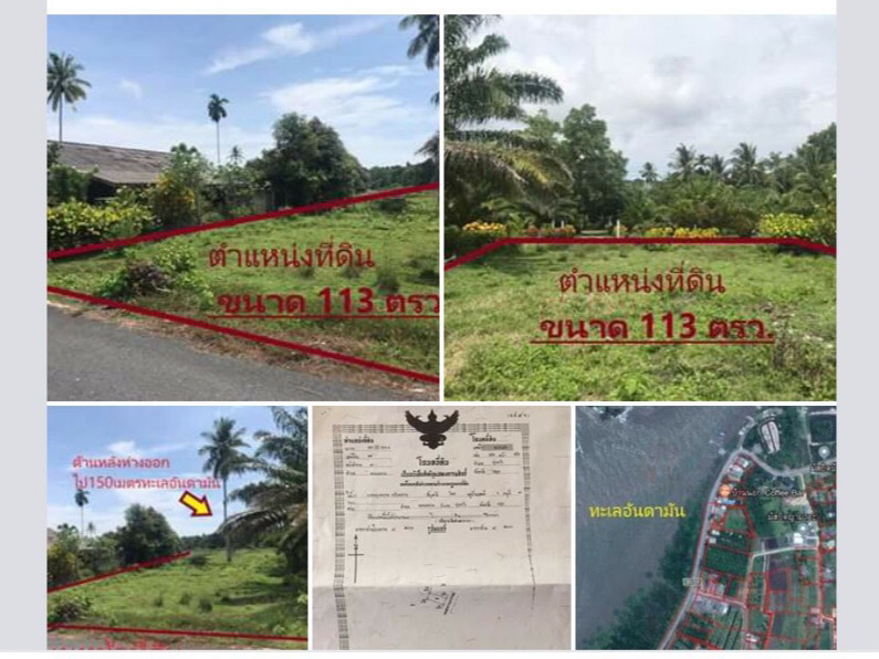 **��·��Թ�ҤҶ١ �������ѹ���ѹ��§ 150 ����**