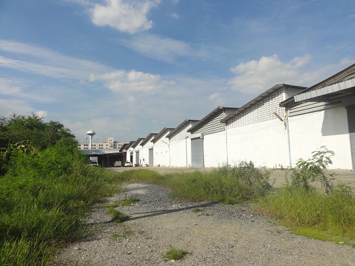 ⡴ѧ������ �Դ����ҧ��-��Ҵ ��.42 ��� Lotus �Ң� �ҧ�С�